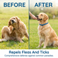 Natural Essential Oil Pet Pest Repellent Collar
