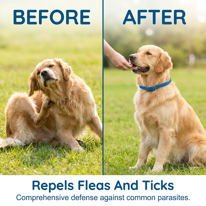 Natural Essential Oil Pet Pest Repellent Collar