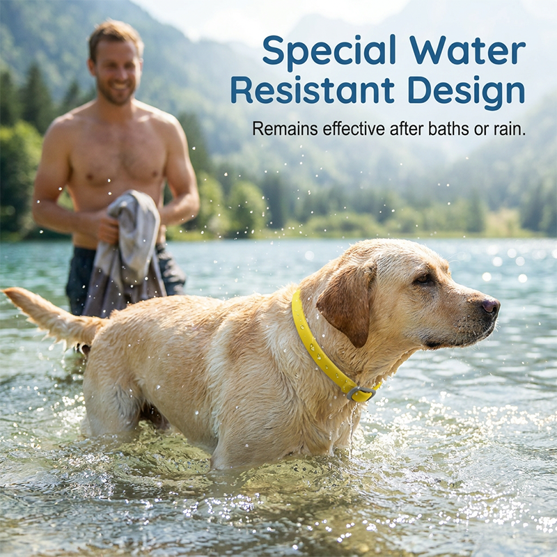Natural Essential Oil Pet Pest Repellent Collar
