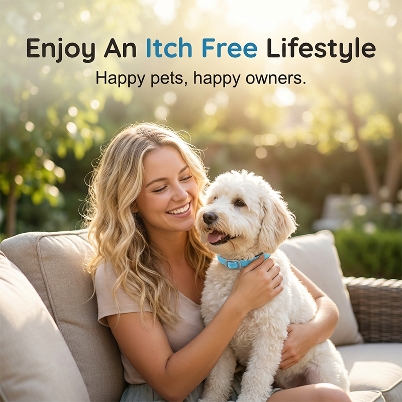 Natural Essential Oil Pet Pest Repellent Collar