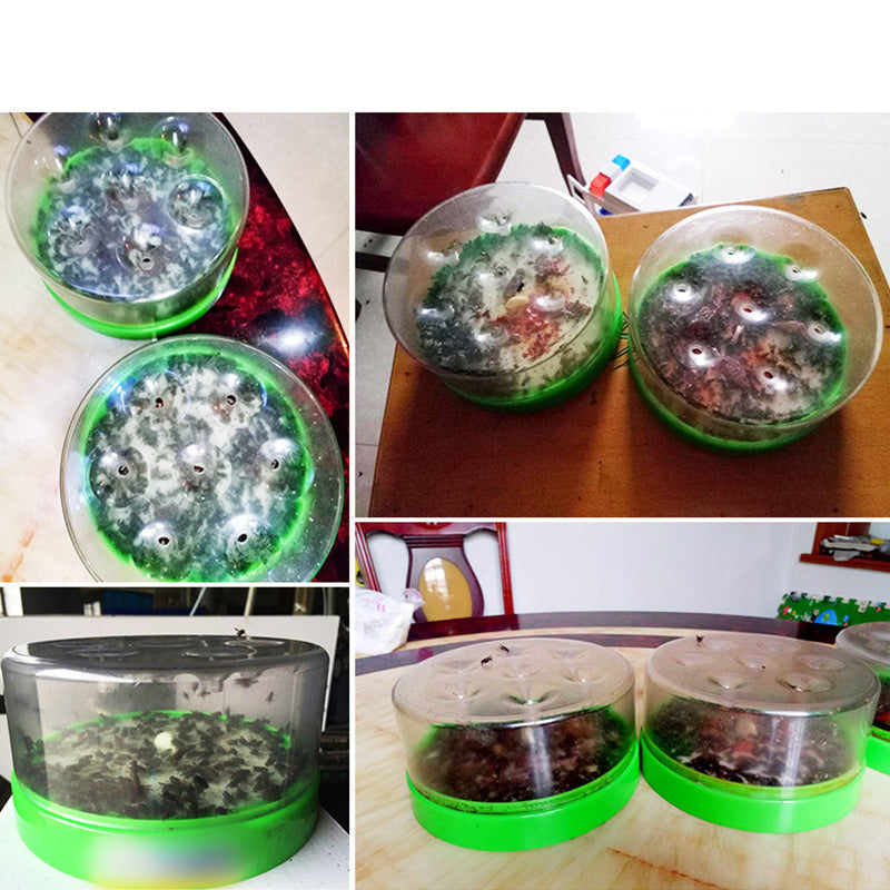 🔌✅ Reusable fly trap—no electricity, no poison! 🏠 Safe to use in the kitchen and around children and pets.