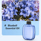 2026 HOT SALE🥳Freshen Any Room Instantly! No-Cord Timed Aroma Diffuser