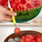 🐕2026 HOT SALE🥳🛡️3-in-1 Stainless Steel Melon Baller Scoop Tool Kit