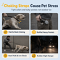 Vest Style Pet Backpack Harness